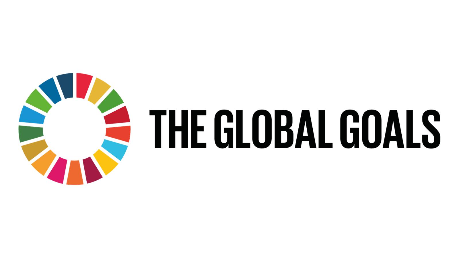 l'immagine rappresentativa degli obiettivi di sviluppo sostenibile e la scritto THE GLOBAL GOALS